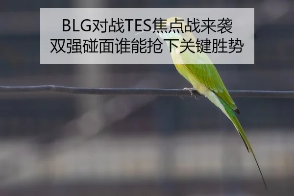 BLG对战TES焦点战来袭 双强碰面谁能抢下关键胜势